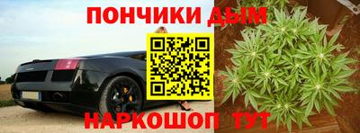 Альфа ПВП Камышлов