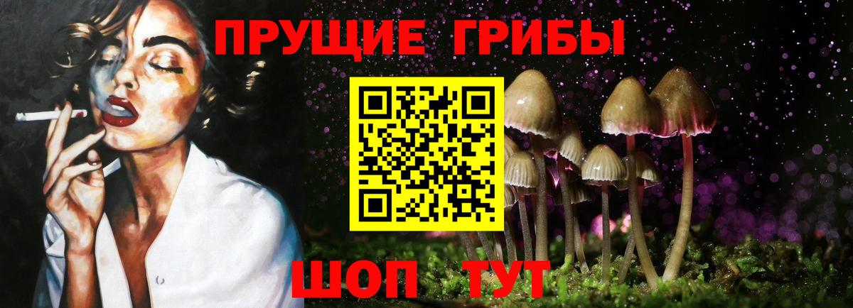 Псилоцибиновые грибы мухоморы  Вход с VPN  Малоярославец  цена наркотик  Галлюциногенные грибы MAGIC MUSHROOMS 