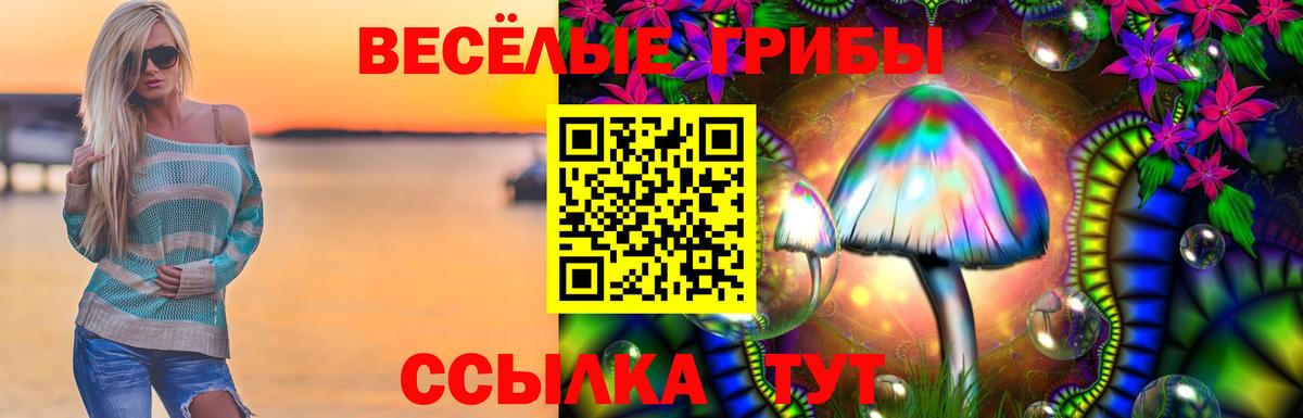 Псилоцибиновые грибы мухоморы Малоярославец